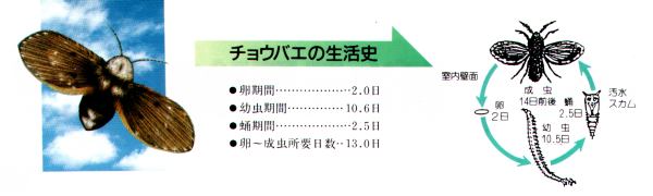バイオジェット チョウバエ