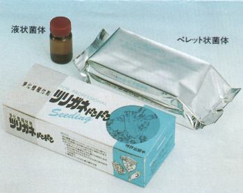 浄化槽活性剤 ツリガネドンドン